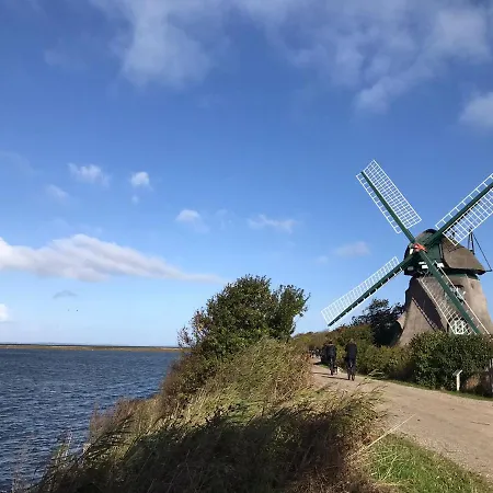 Holtdeel