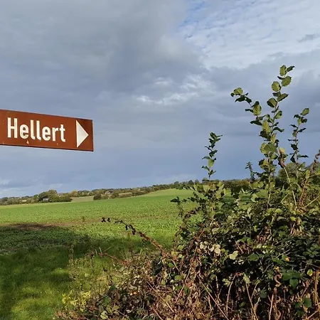 Holtdeel *